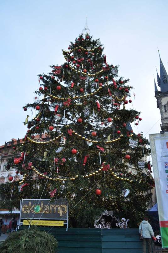 Christmas Tree 2012